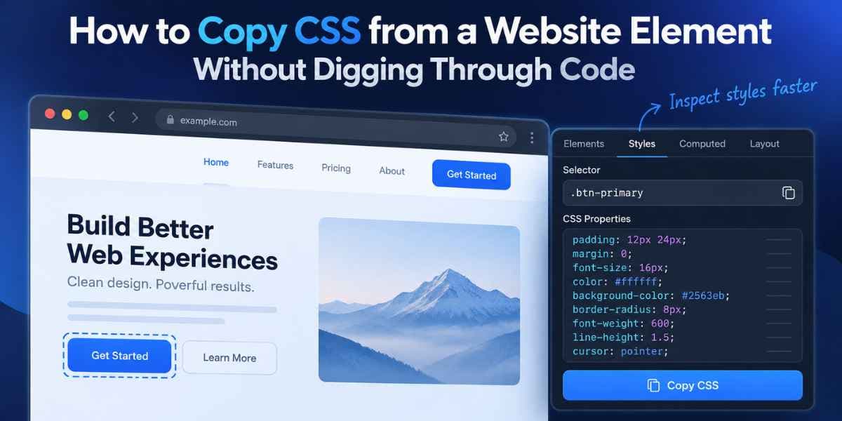 Copy CSS From Website (1)